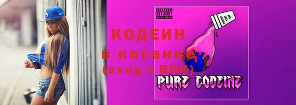 гашик Аркадак