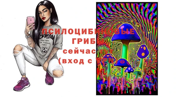 гашик Аркадак