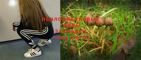 меф Алексин