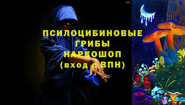спиды Алзамай