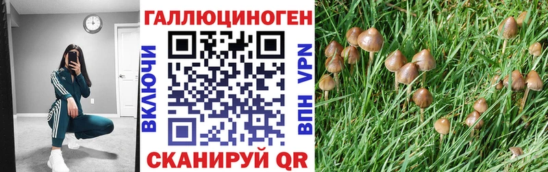 Псилоцибиновые грибы мицелий  Куса 